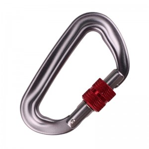 Outdoor hook climbing camp main lock carabiner multi-function nut climbing buckle outdoor quick catch equipment safety lock detection hole d-screw main lock aviation aluminum alloy